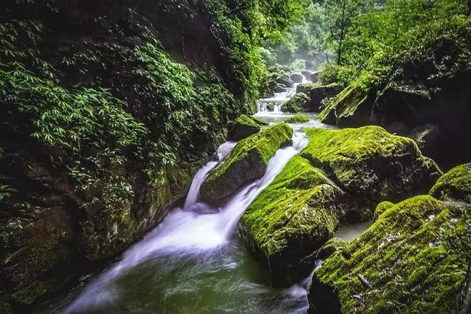 杏子铺镇：厚植廉洁文化 涵养清风正气