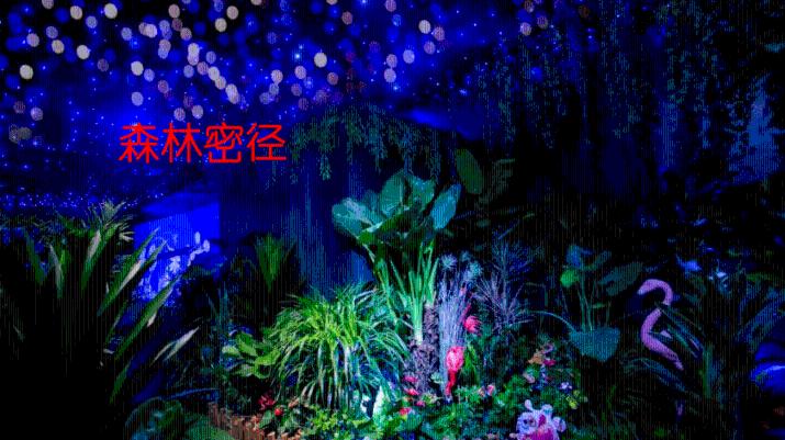 救援怒吼的狮子